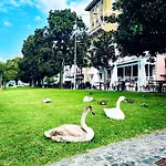 Apartment Casa Gambusso Historical House Magnificent View Verbania