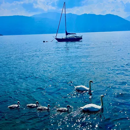 Casa Gambusso Historical House Magnificent View Apartamento *