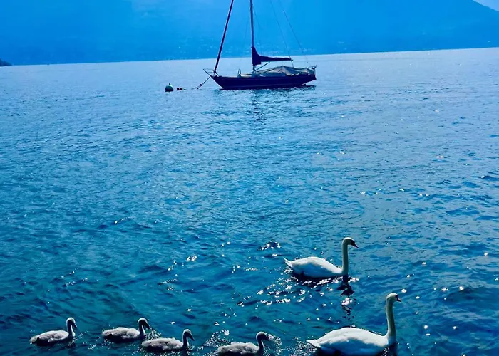 Casa Gambusso Historical House Magnificent View Apartment *